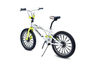 Custom Adult Bicycle 20 Inches BMX with V
