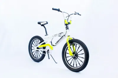 China Wholesale 20 Inches BMX Bike V