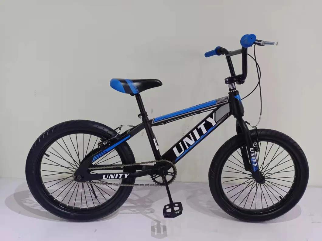 Freestyle 20&quot; BMX Bicycle with Disc-Brake Bicicleta BMX Hc-BMX-045