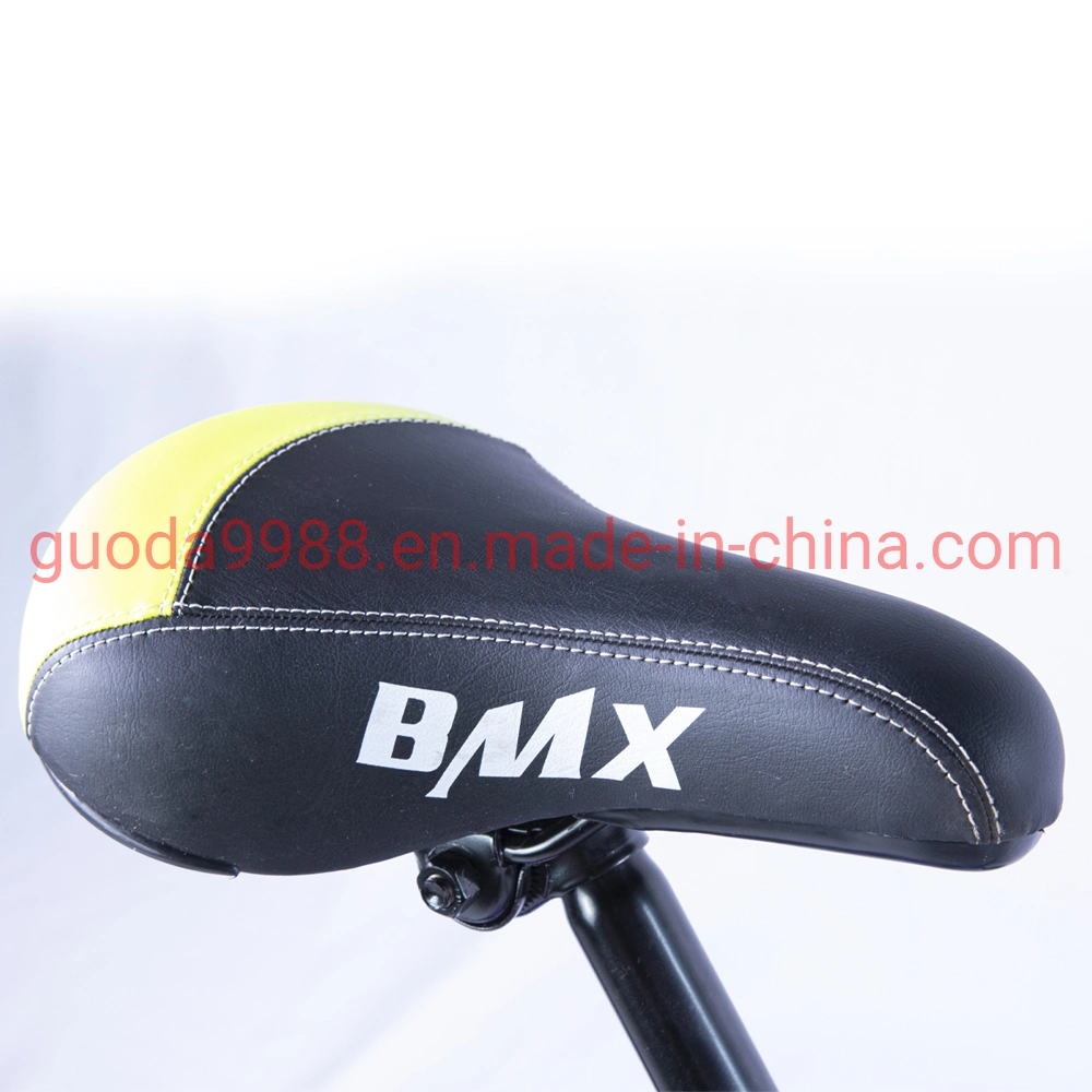 OEM Carbon Steel BMX with Single Speed and Fashionable Design