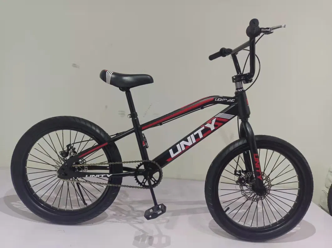 Freestyle 20&quot; BMX Bicycle with Disc-Brake Bicicleta BMX Hc-BMX-045